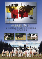 Posters - Illustrator